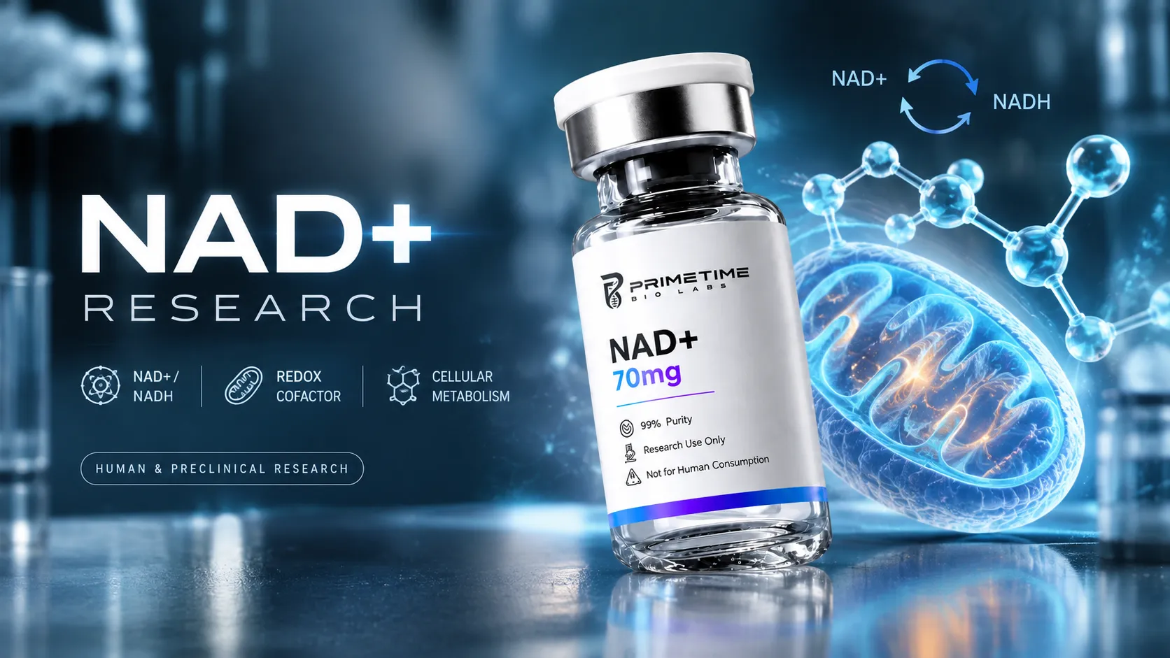 NAD+ Benefits: What the Research Actually Shows